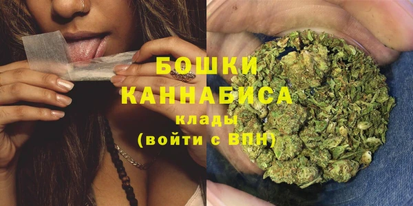 стаф Магас